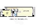ArsaNEXT10階8.8万円