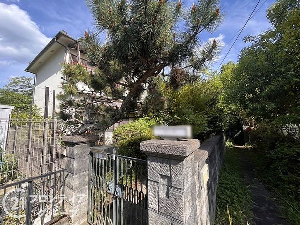 Image 18