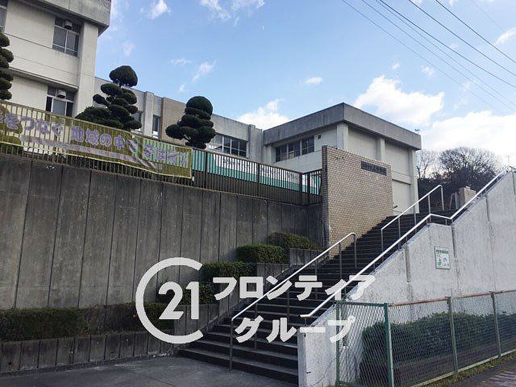 Image 8