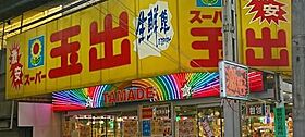 メゾンビトロI  ｜ 大阪府大阪市住之江区東加賀屋1丁目（賃貸マンション1LDK・1階・40.00㎡） その21