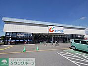 カワチ薬品入間店 徒歩11分。 810m