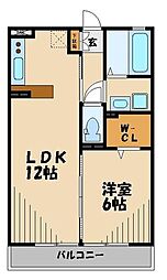 ニューランホープ 1LDKの間取図画像