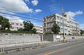 クレリア高槻南松原 105 ｜ 大阪府高槻市南松原町（賃貸アパート1DK・1階・34.78㎡） その19