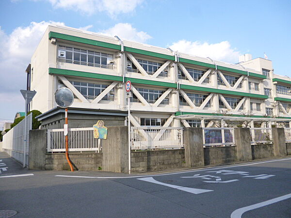 画像29:【中学校】茨木市立南中学校まで290ｍ