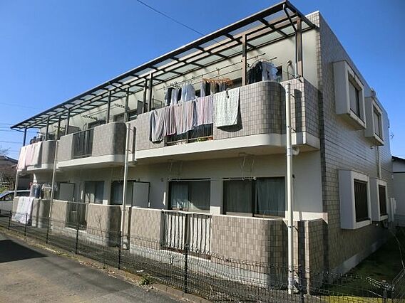 フィオーレ栗の葉_トップ画像