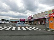 イオン 3300m