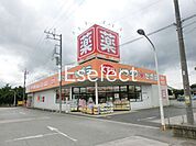 ドラッグセガミ八街店 徒歩6分。 440m