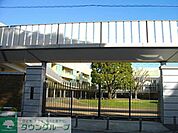 青山学院幼稚園 徒歩10分。幼稚園・保育園 770m