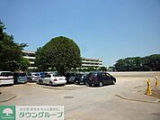 酒井根小学校 175m