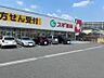 周辺：スギ薬局 東生駒店（260m）