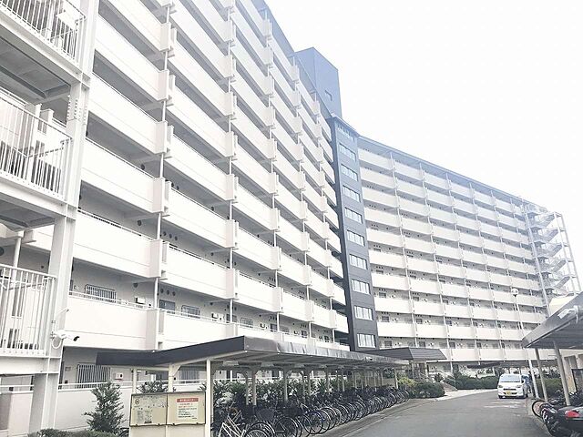2 / 11