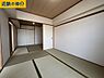 その他：室内（2026年1月）撮影
