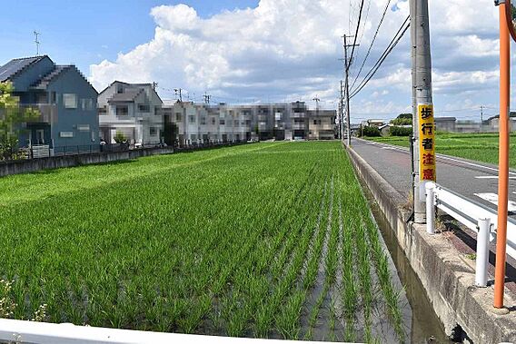 現況　田
