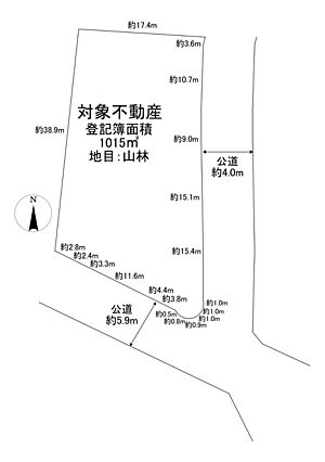 現地
