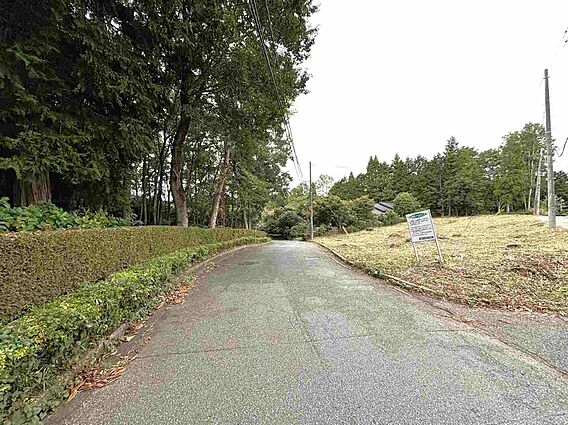 前面道路