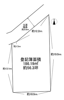 現地写真