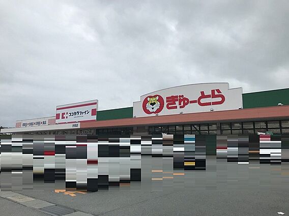 「ぎゅーとら」...