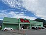 その他：ウォンツ三入店まで1596m