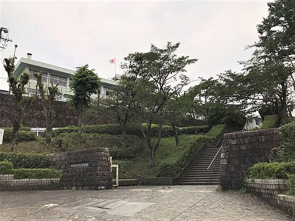 周辺を拡大表示