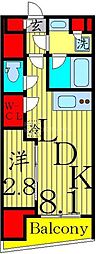 JR総武線 亀戸駅 徒歩5分の賃貸マンション 14階1LDKの間取り