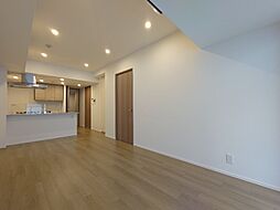 東京メトロ有楽町線 江戸川橋駅 徒歩8分の賃貸マンション 10階1LDKのリビング/ダイニング