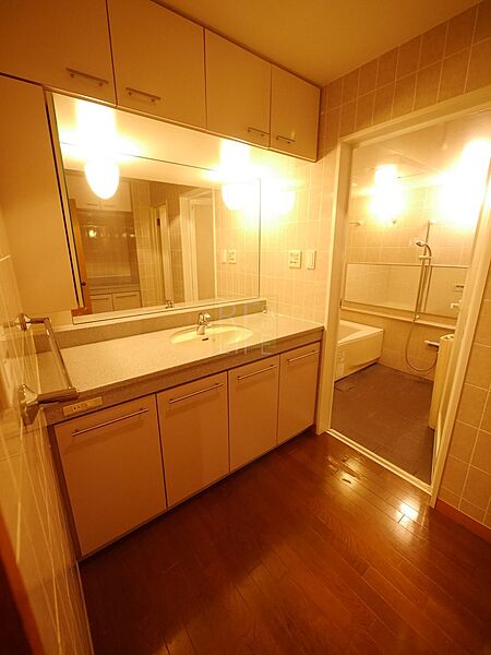 apartment 東京都千代田区三番町24-2
地図を見る