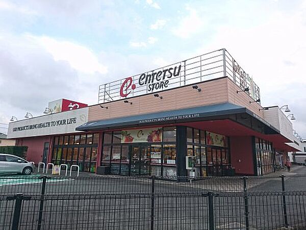 カトリーヌ　ヒルズ