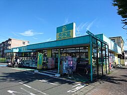 【ドラッグストア】杏林堂薬局ドラッグストア向宿店まで693ｍ