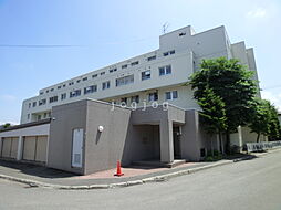 2 / 4
