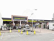 ロイヤルホームセンター塚口店まで1000m