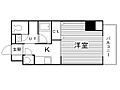 レフィーナ円山6階4.9万円