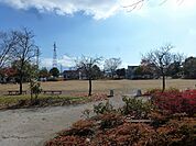 和田公園（867m）