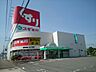 周辺：スギ薬局　新舞子店まで300m