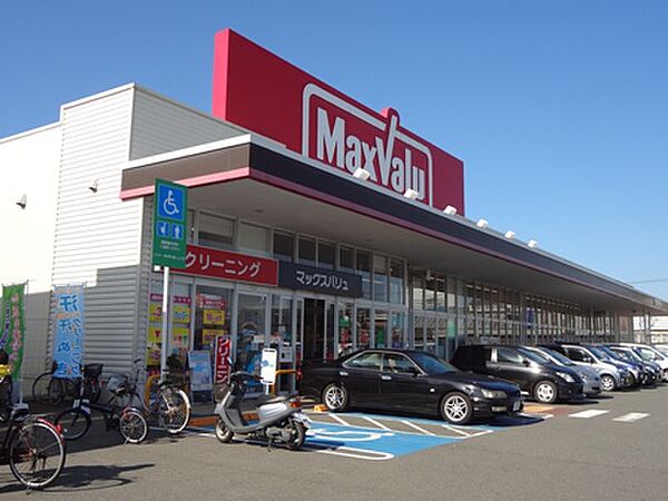 画像15:マックスバリュ 久留米西店（460m）