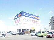 MrMax（ミスターマックス） 久留米インター店（1032m）