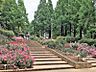 周辺：相模原北公園まで約550ｍ