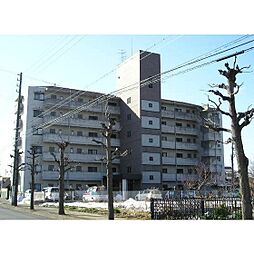🉐敷金礼金0円！🉐バス ＊＊＊＊駅 バス0分 大福町5丁目下車 ...