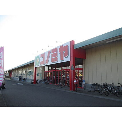 メゾン ノア_周辺_3