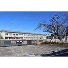 柳津小学校