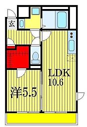 セザン新町 7階1LDKの間取り