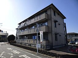 セジュール山の根