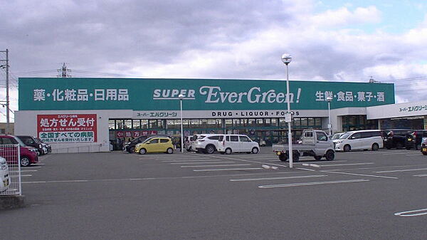 画像25:【スーパー】スーパーエバグリーン四ヶ郷店まで1267ｍ