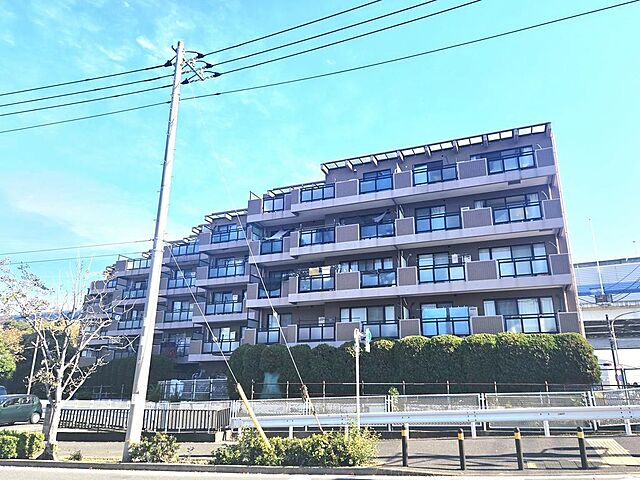 外観 サングレイス本牧元町 1階/-