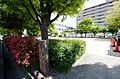 【公園】上甲子...