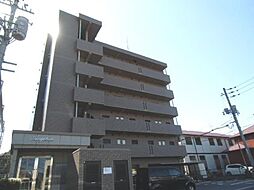 アンジェリカ 205