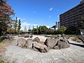 木場公園 28...