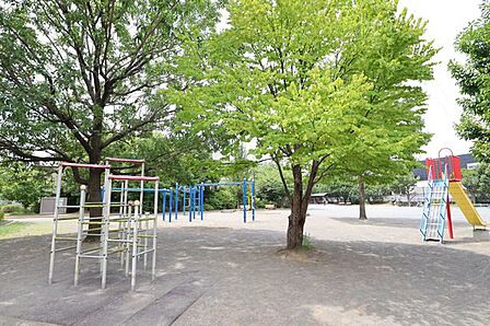 樽町しょうぶ公園 48m