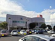 マルナカ坂出店まで364ｍ