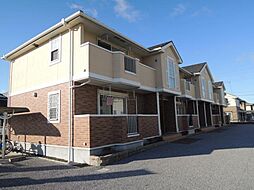 アプリコット宝積