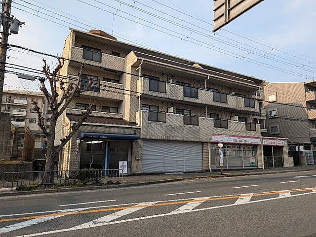 3 / 6